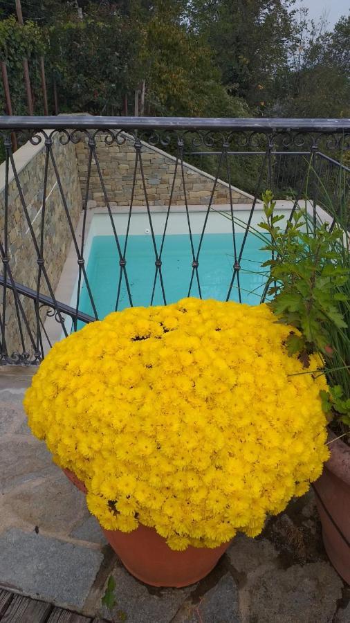 La Vigna Del Parroco Apartman Verduno Kültér fotó